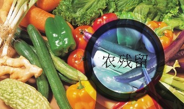 黑龍江通報(bào)4批次食用農(nóng)產(chǎn)品農(nóng)藥殘留超標(biāo)，批發(fā)環(huán)節(jié)成監(jiān)管重點(diǎn)
